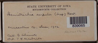 Image Associated With the Occurence